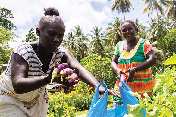 Improving food availability and nutrition in the Solomon Islands