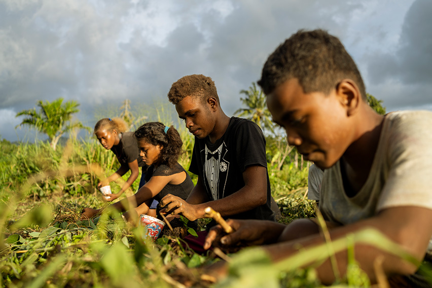 Solomon Islands (2018)